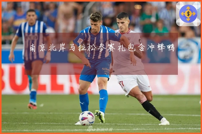 南京北岸马拉松参赛礼包含冲锋鸭