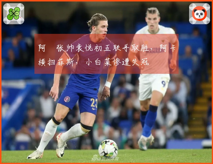 阿昺张帅袁悦初五联手取胜，阿卡横扫菲斯，小白菜惨遭失冠